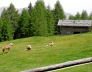 2006-06-Kaltern-082