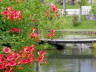 2006-06-Kaltern-124