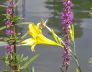 2006-06-Kaltern-149