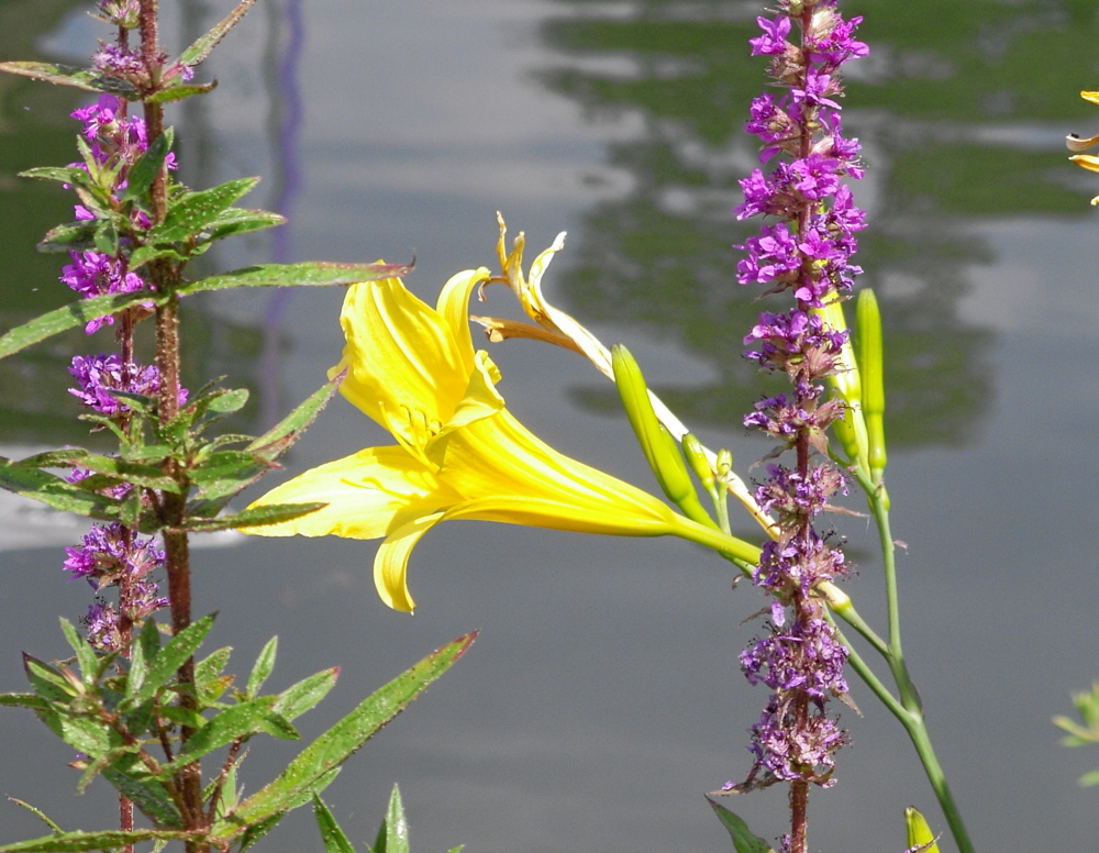2006-06-Kaltern-149