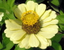 2006-06-Kaltern-158