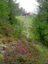 2006-06-Kaltern-242