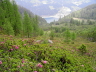 2006-06-Kaltern-246