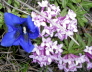 2006-06-Kaltern-268
