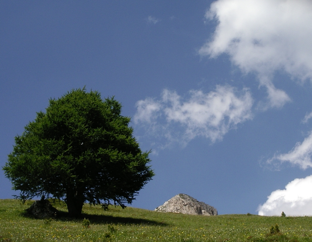 2006-06-Kaltern-300