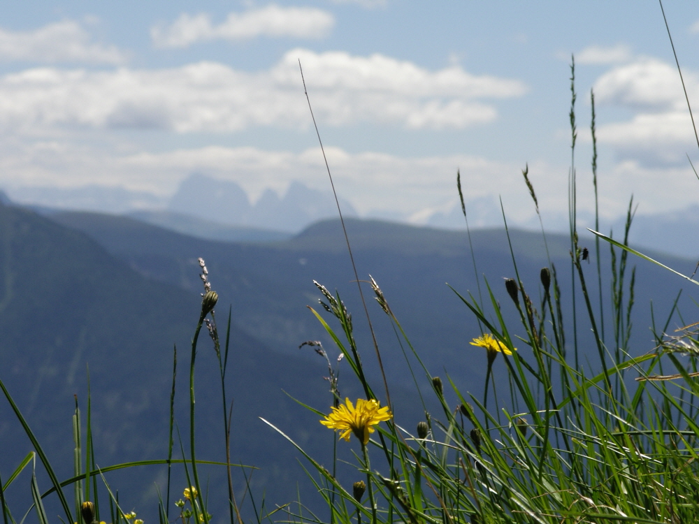 2006-06-Kaltern-404