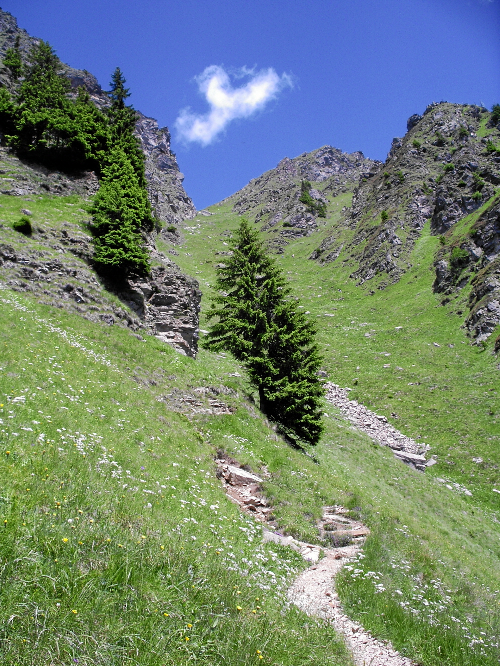 2006-06-Kaltern-427