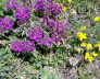 2006-06-Kaltern-439