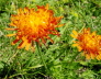 2006-06-Kaltern-443