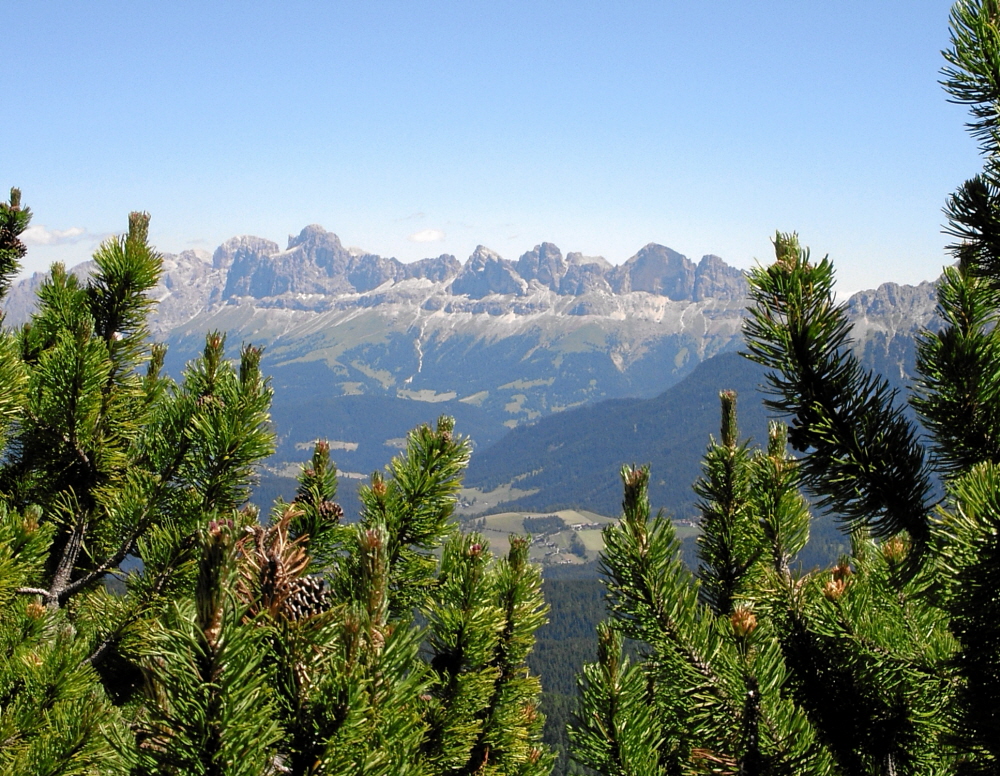 2006-06-Kaltern-452