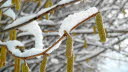 2013_02_Voels_009