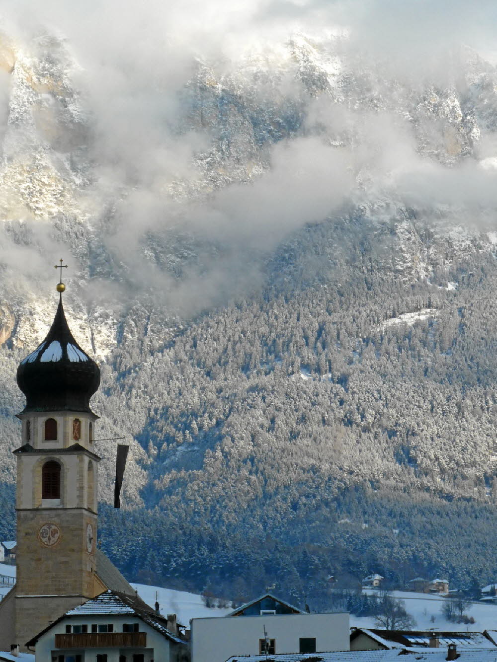 2013_02_Voels_010