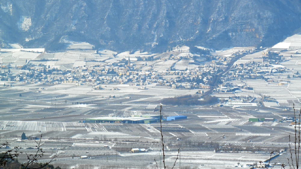 2013_02_Voels_012