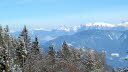 2013_02_Voels_013
