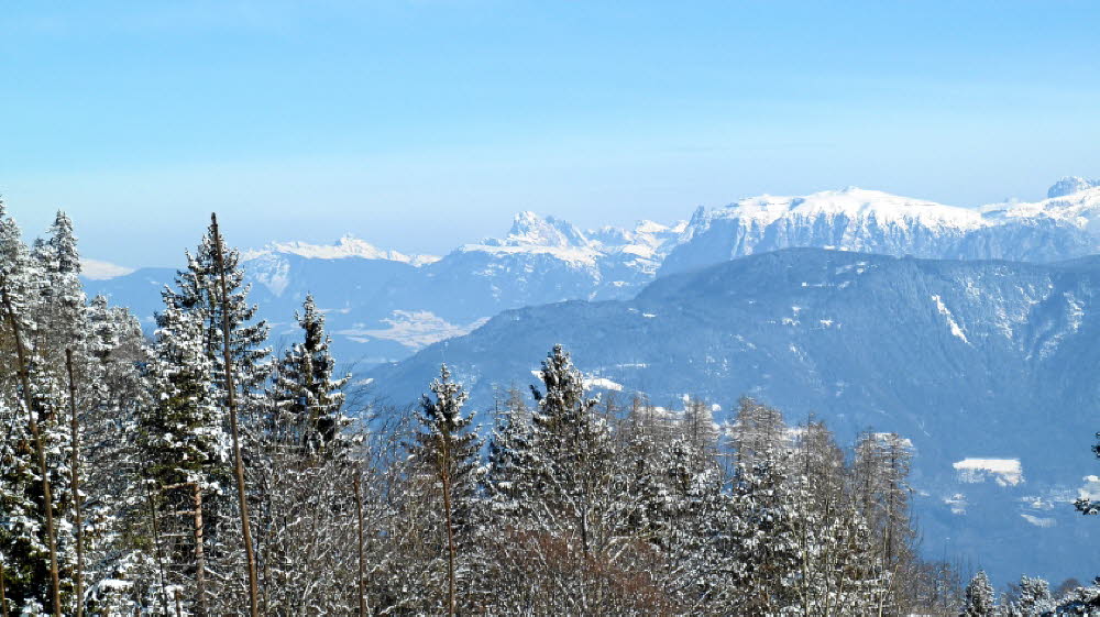 2013_02_Voels_013