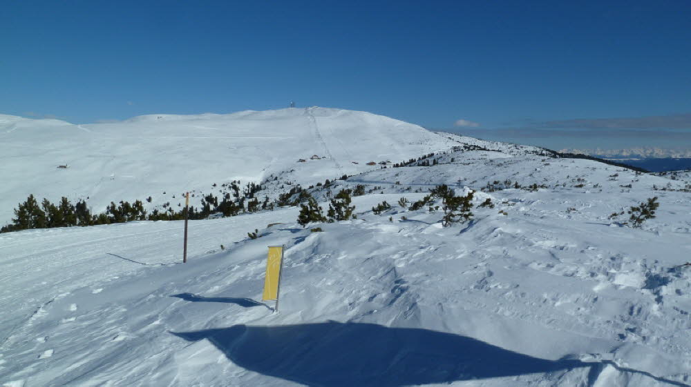2013_02_Voels_021