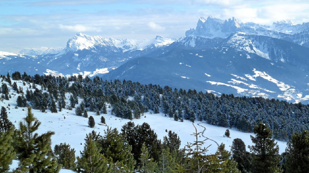 2013_02_Voels_028