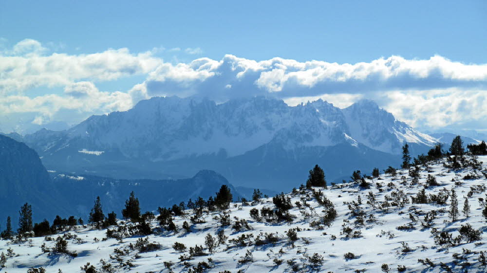 2013_02_Voels_034