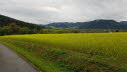 20149_10_Offenburg-019