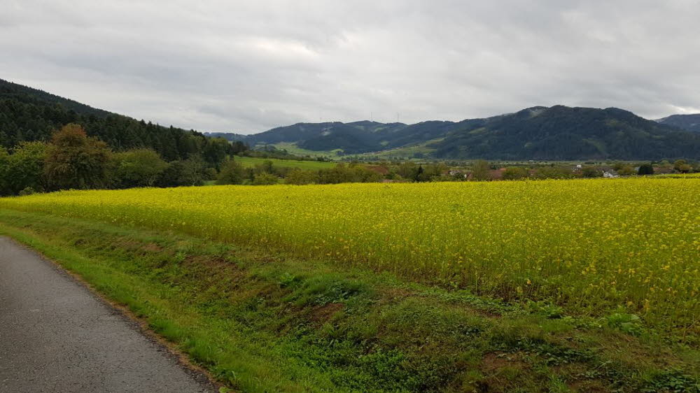 20149_10_Offenburg-019