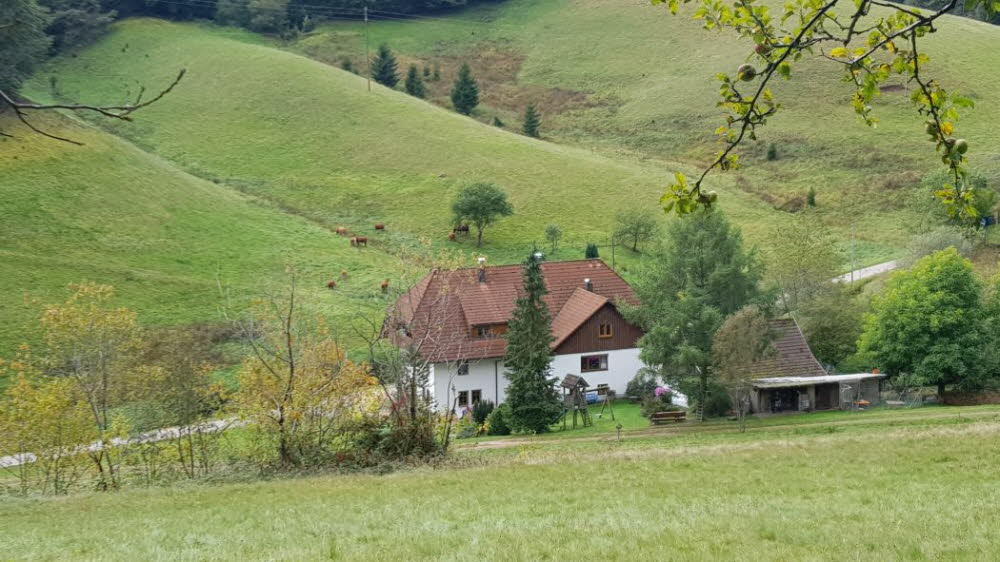 20149_10_Offenburg-030