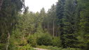 20149_10_Offenburg-031