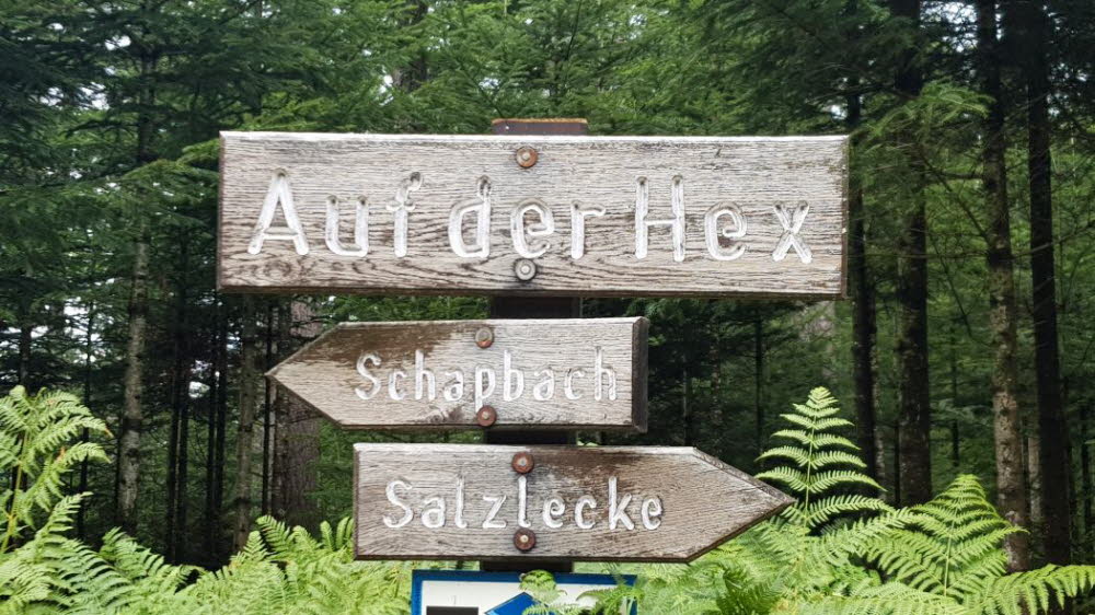 20149_10_Offenburg-033