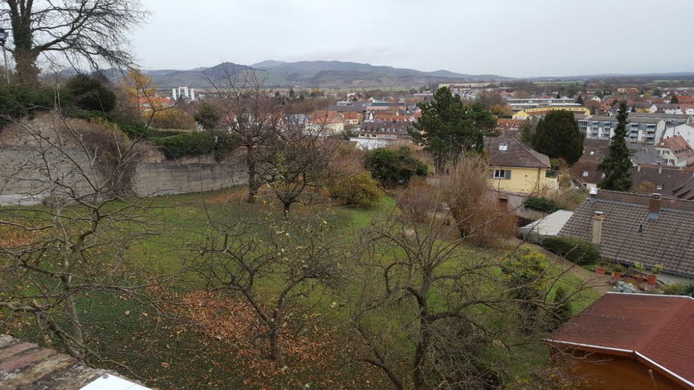 20151120_094230