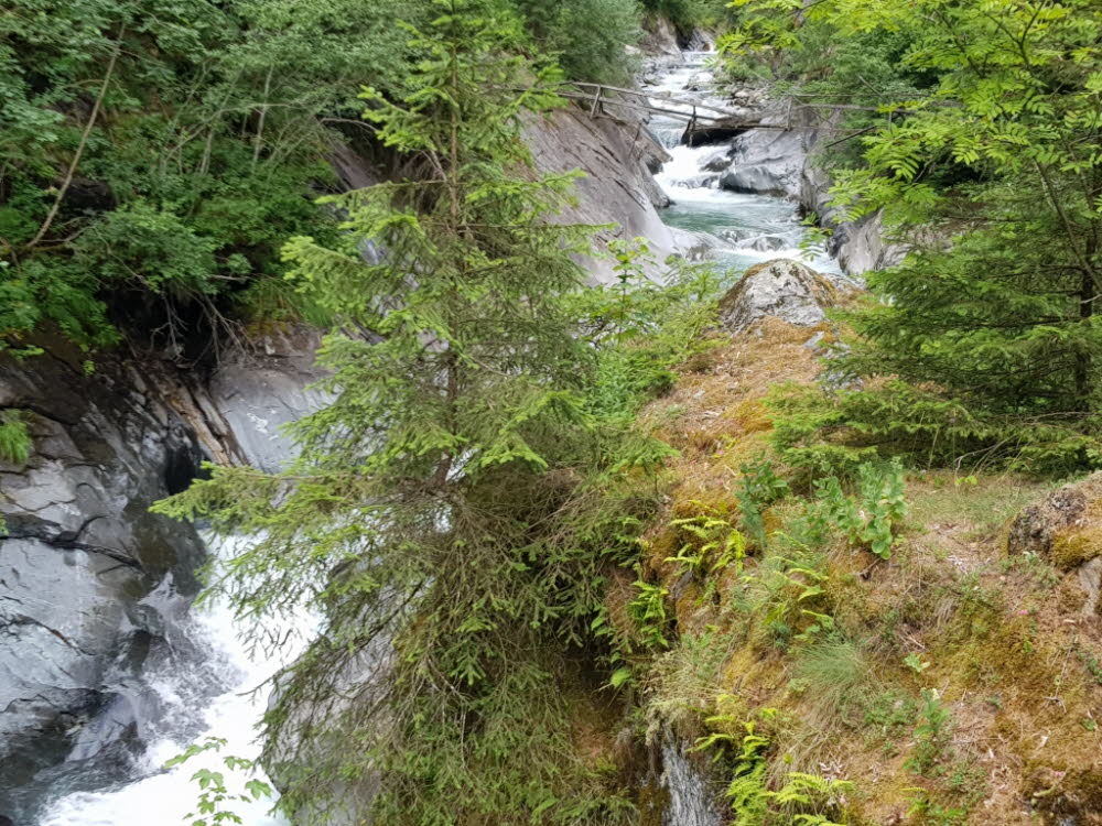 20190709_110111