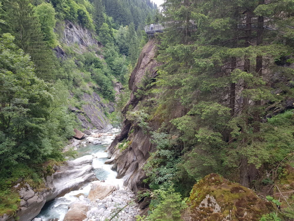 20190709_110555