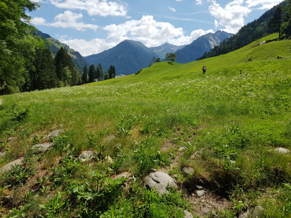 20190709_121457