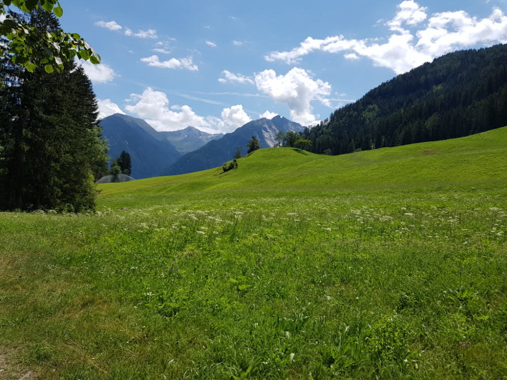 20190709_121648