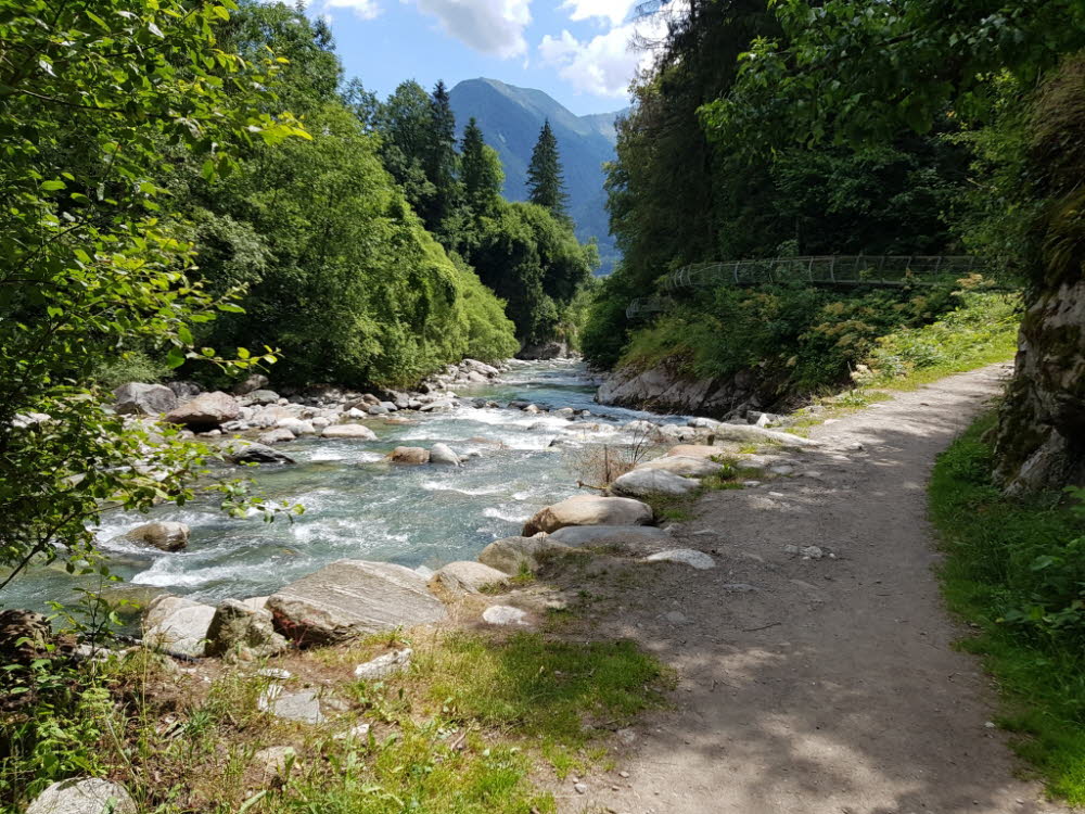 20190709_123110