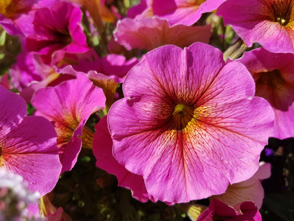 20190710_100504