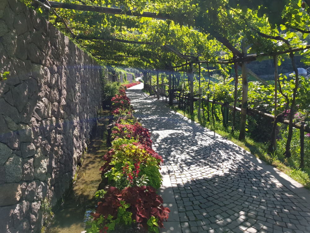20190710_100621