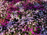 20190710_102002