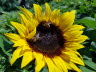 20190710_102138