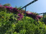 20190710_102324