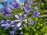 20190710_111427