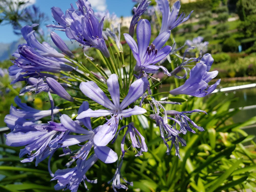 20190710_111427