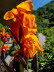 20190710_112857