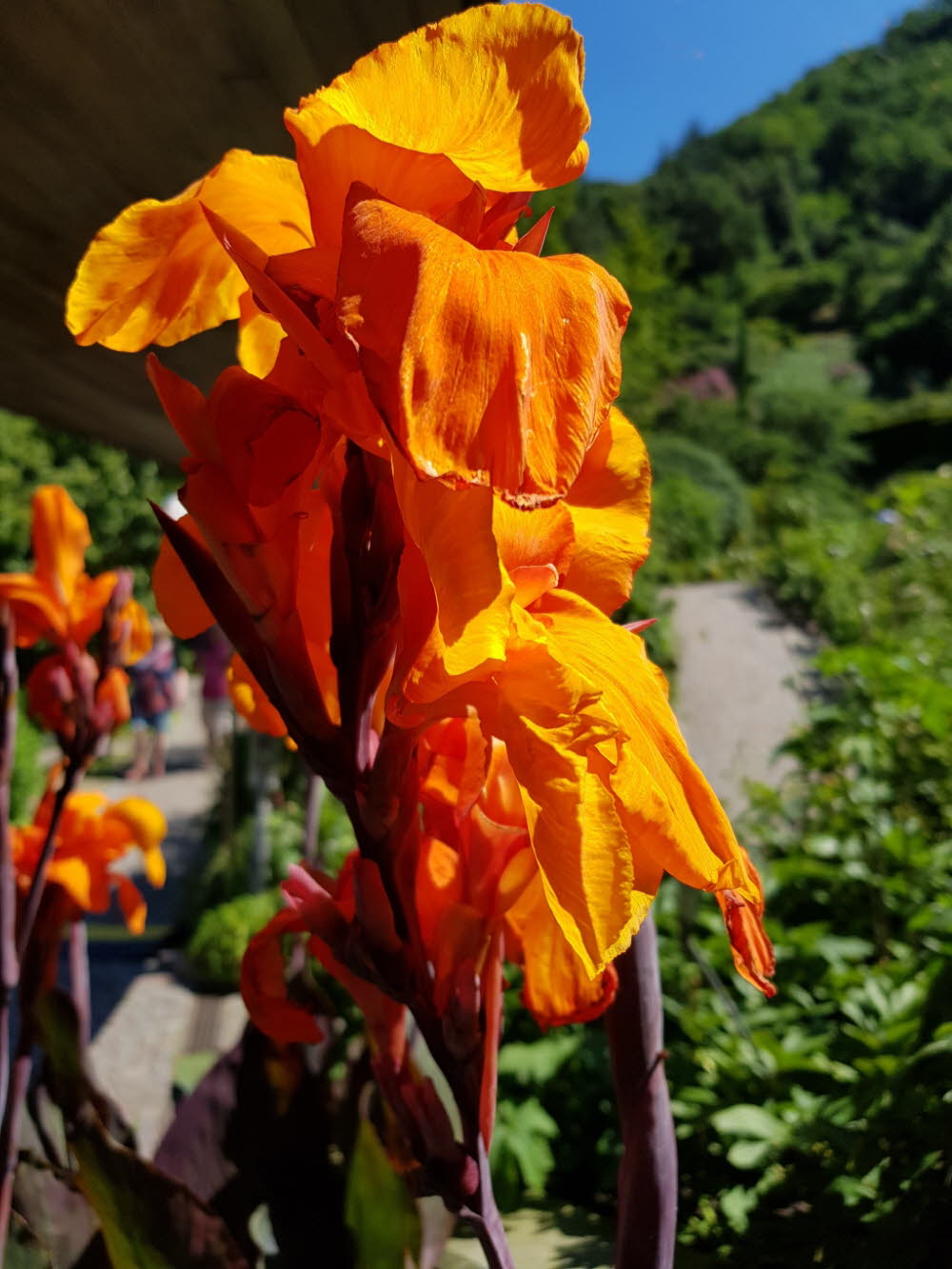 20190710_112857