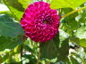 20190710_113621