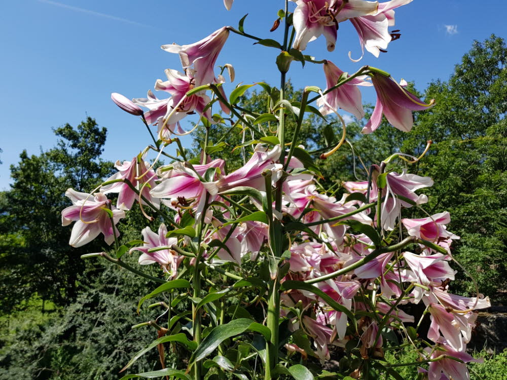 20190710_113848