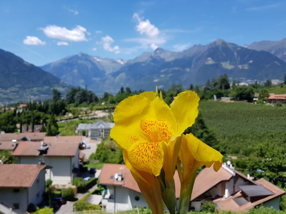 20190710_131719