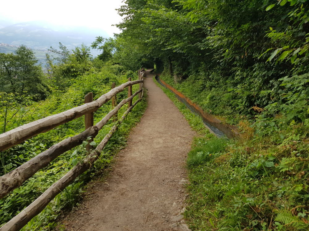 20190711_104051