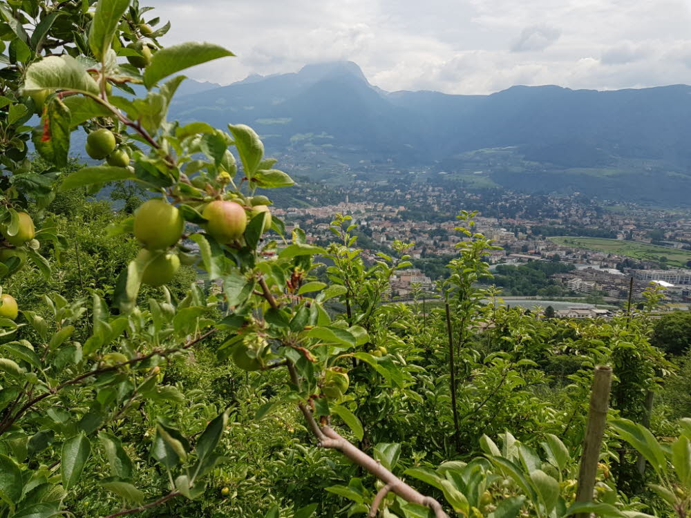 20190711_114153