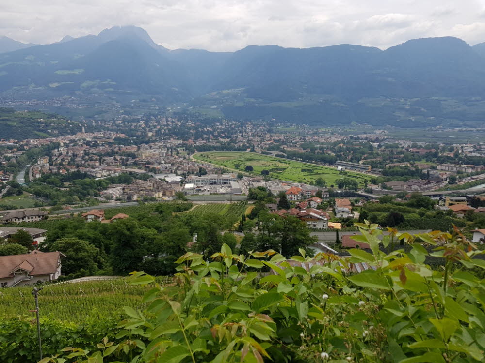 20190711_115036