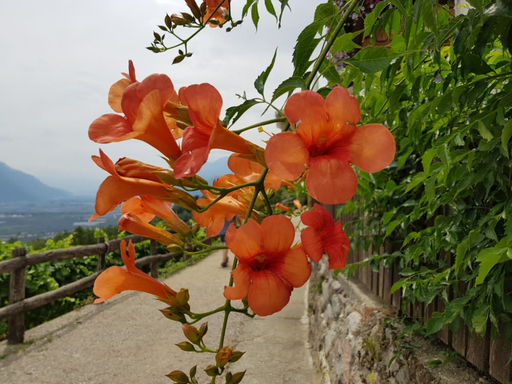 20190711_122619