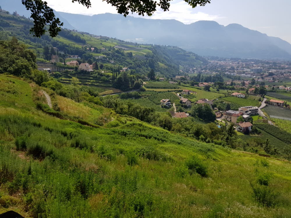 20190712_103822